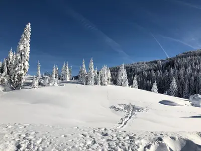 Ferienhaus Alpennest im Winter