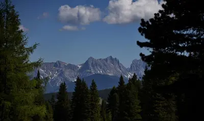 Naturlandschaft in der Nähe des Ferienhauses