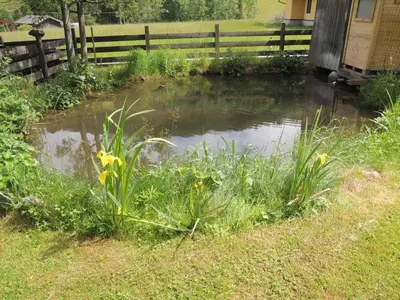 Naturlandschaft in der Nähe der Ferienwohnung
