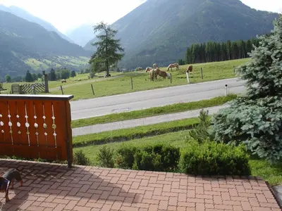 Ein allgemeiner Bergblick oder ein Berglick von der Ferienwohnung aus