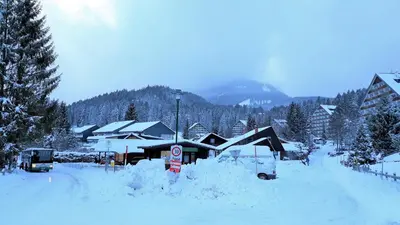 Amazing Family Apartment Bad Mitterndorf - visit Hallstatt, ski in Tauplitz im Winter