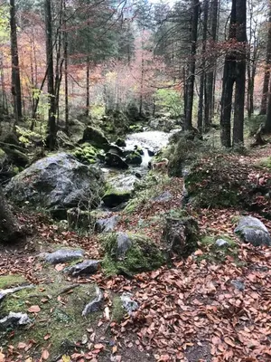 Naturlandschaft in der Nähe der Ferienwohnung