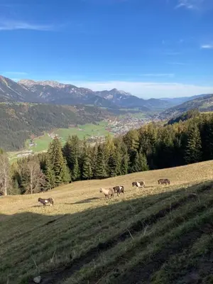 Naturlandschaft in der Nähe der Ferienwohnung