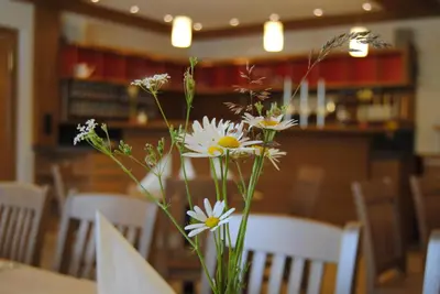 Ein Restaurant oder anderes Speiselokal in der Unterkunft Vogelhubergut - Familie Scherleithner
