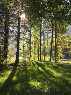 Naturlandschaft in der Nähe des Bed & Breakfasts