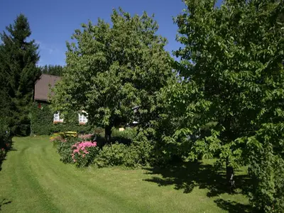 Ein Garten an der Unterkunft Ferienhaus in Scheifling nahe Skipisten