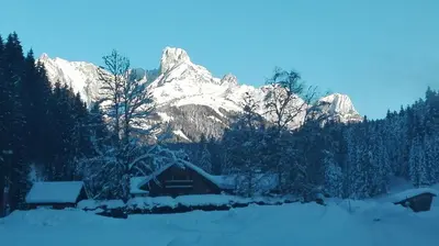 Naturlandschaft in der Nähe der Ferienwohnung