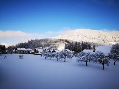 Ferienwohnungen BERGfeeling im Winter