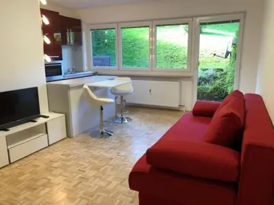 TV/Unterhaltungsangebot in der Unterkunft Apartement Zwölferhorn