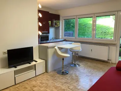 TV/Unterhaltungsangebot in der Unterkunft Apartement Zwölferhorn