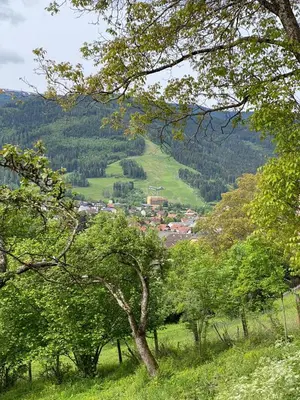 Grundriss der Unterkunft Kreischblick