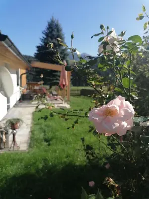 Ein Garten an der Unterkunft Strausshaus