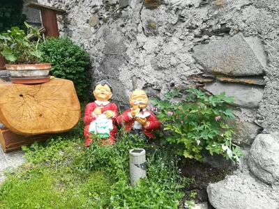 Ein Garten an der Unterkunft Mühlnerhof Familie Gruber