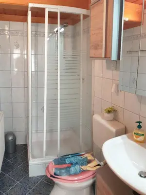 Ein Badezimmer in der Unterkunft Mühlnerhof Familie Gruber
