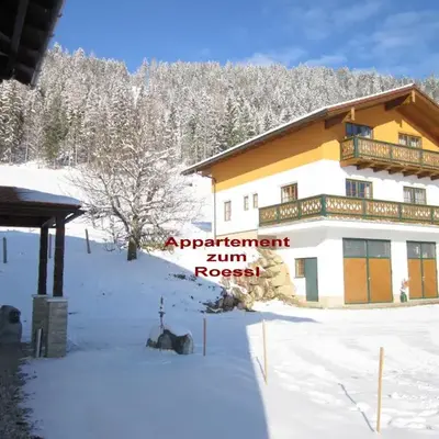 Appartement zum Rössl