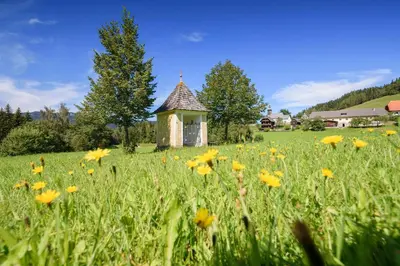 Ein Garten an der Unterkunft Alpengasthof Moser