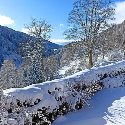 Naturlandschaft in der Nähe des Privatzimmers