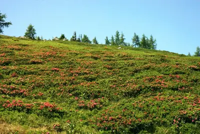 Naturlandschaft in der Nähe der Ferienwohnung