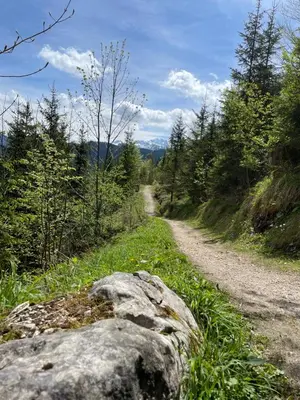 Naturlandschaft in der Nähe der Ferienwohnung
