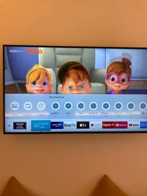 TV/Unterhaltungsangebot in der Unterkunft Seehotel am Hallstättersee modern rooms