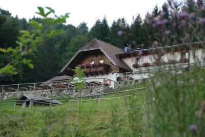 Naturlandschaft in der Nähe der Pension