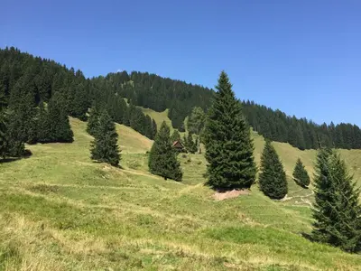 Naturlandschaft in der Nähe des Ferienhauses
