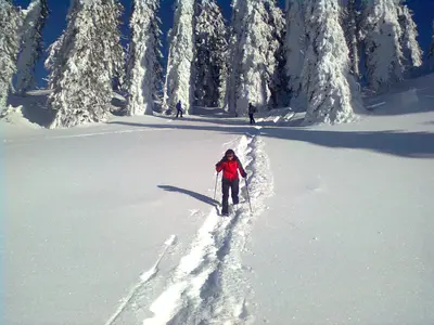 Knödl-Alm Waldhäusl im Winter