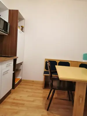 Küche/Küchenzeile in der Unterkunft Ferienwohnung - Apartment Pichlarn Irdning
