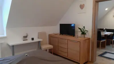 TV/Unterhaltungsangebot in der Unterkunft Ferienhaus Gerlach