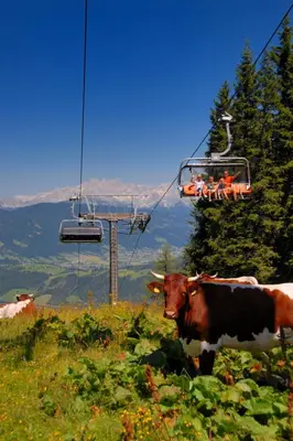 Naturlandschaft in der Nähe der Ferienwohnung