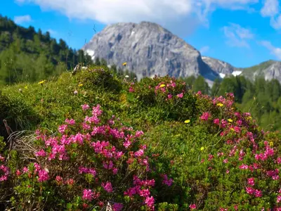 Naturlandschaft in der Nähe des Ferienhauses