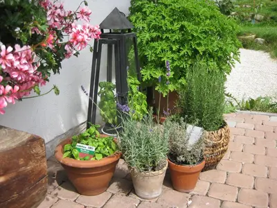 Ein Garten an der Unterkunft Chalet Auer's Zuahäusl