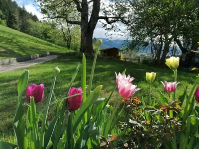 Naturlandschaft in der Nähe der Ferienwohnung