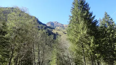 Naturlandschaft in der Nähe der Ferienwohnung