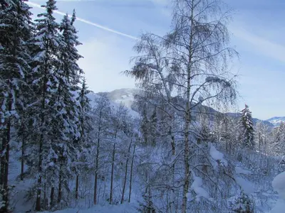 Haus Widmoos im Winter