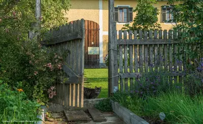 Ein Garten an der Unterkunft Weslhof