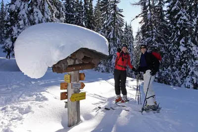 Ferienhaus Meissnitzer im Winter