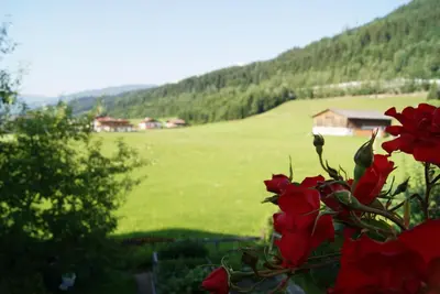 Naturlandschaft in der Nähe der Ferienwohnung