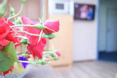TV/Unterhaltungsangebot in der Unterkunft Apartments Hartsleben
