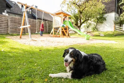 Haustiere von Gästen der Unterkunft Tauerncamping Apartment