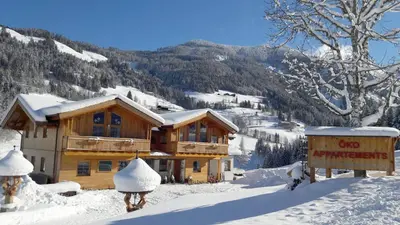 Öko-Appartements Fallhaus im Winter