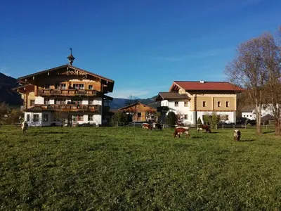 Naturlandschaft in der Nähe der Ferienwohnung