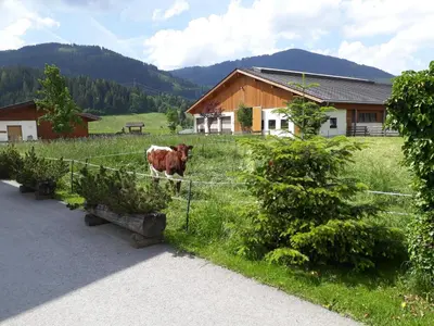 Ein allgemeiner Bergblick oder ein Berglick von der Ferienwohnung aus