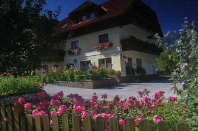 Ein Garten an der Unterkunft Pension Pichler