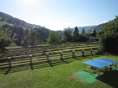 Naturlandschaft in der Nähe der Ferienwohnung