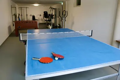Tischtennis in der Unterkunft Apart-Pension Seiwald oder in der Nähe