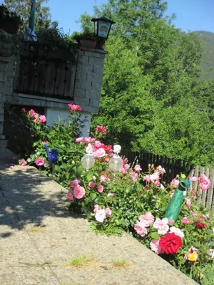 Ein Garten an der Unterkunft Pension Stammerhof