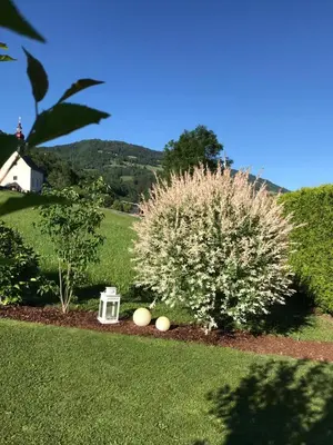 Ein allgemeiner Bergblick oder ein Berglick von des Bed & Breakfasts aus