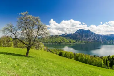 Naturlandschaft in der Nähe der Ferienwohnung