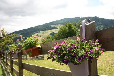 Ein allgemeiner Bergblick oder ein Berglick von der Ferienwohnung aus
